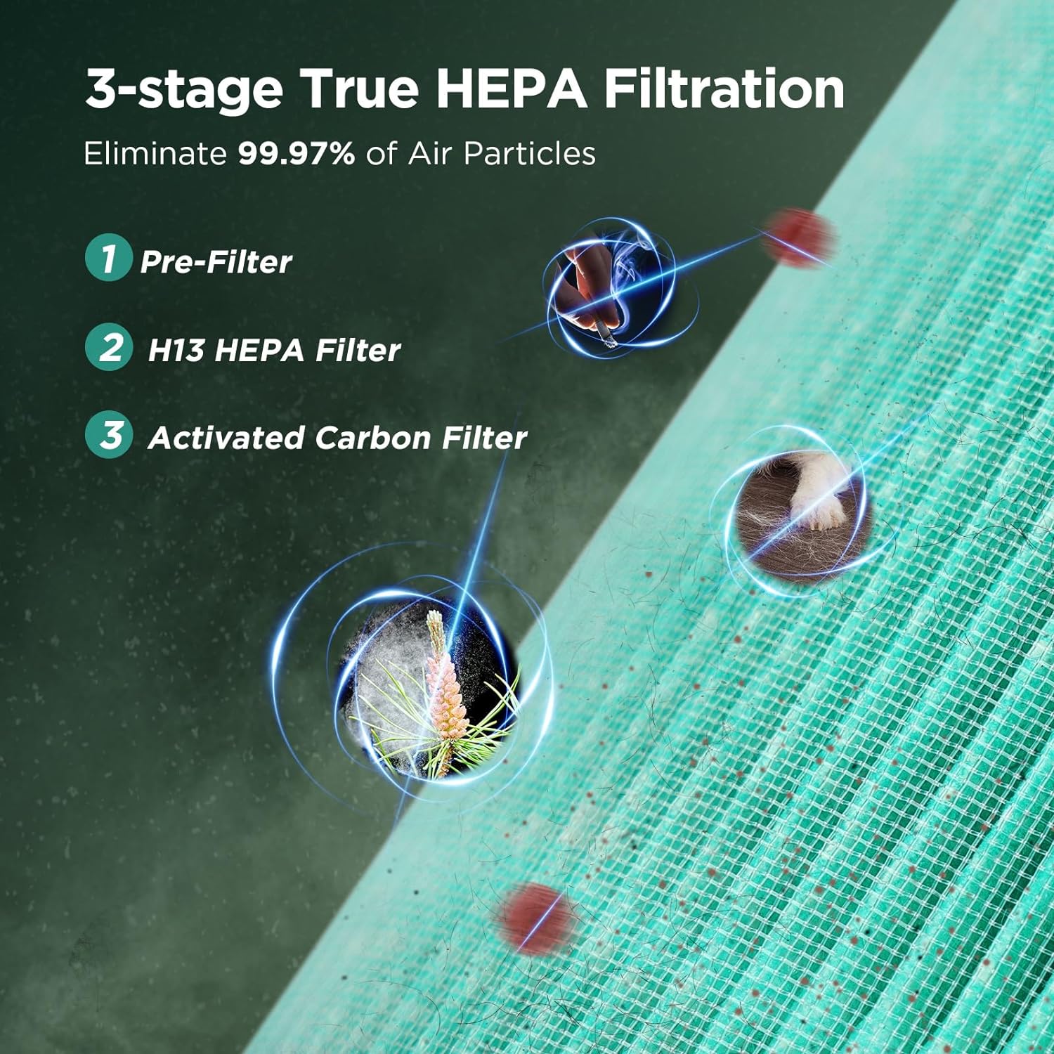 H13 True HEPA Air Purifier for Home & Bedroom – Quiet Portable Air Cleaner for Office & Living Room